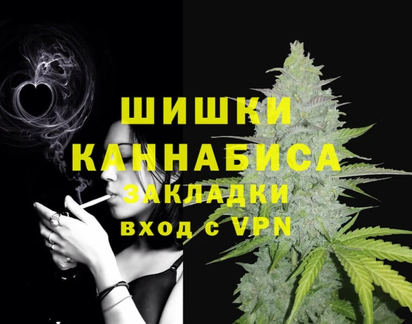 бошки Алексин
