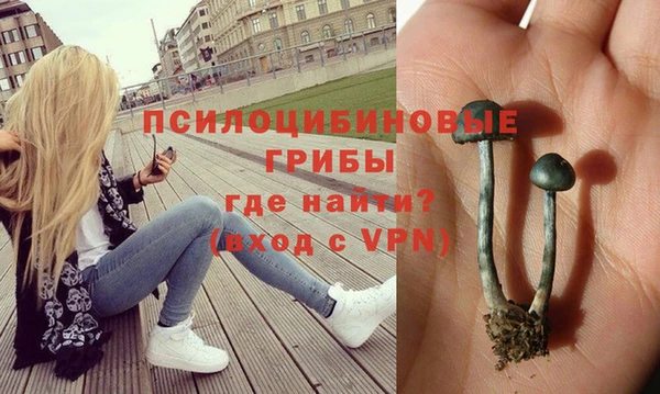 эйфоретик Алзамай