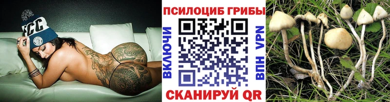 купить закладку  Наволоки  Псилоцибиновые грибы Cubensis 